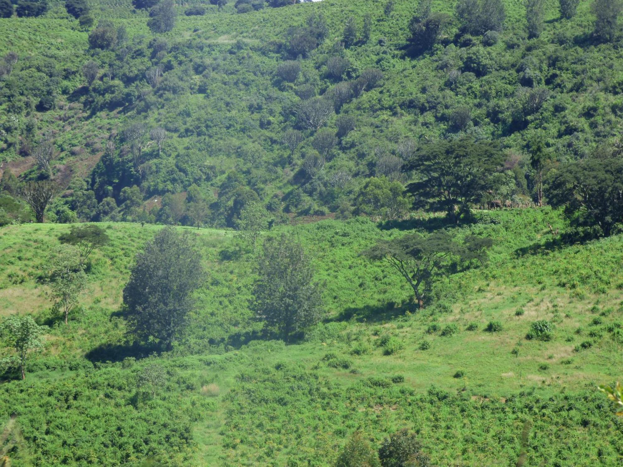 Le Pristine Wellness And Healing Hotel Nyeri Extérieur photo