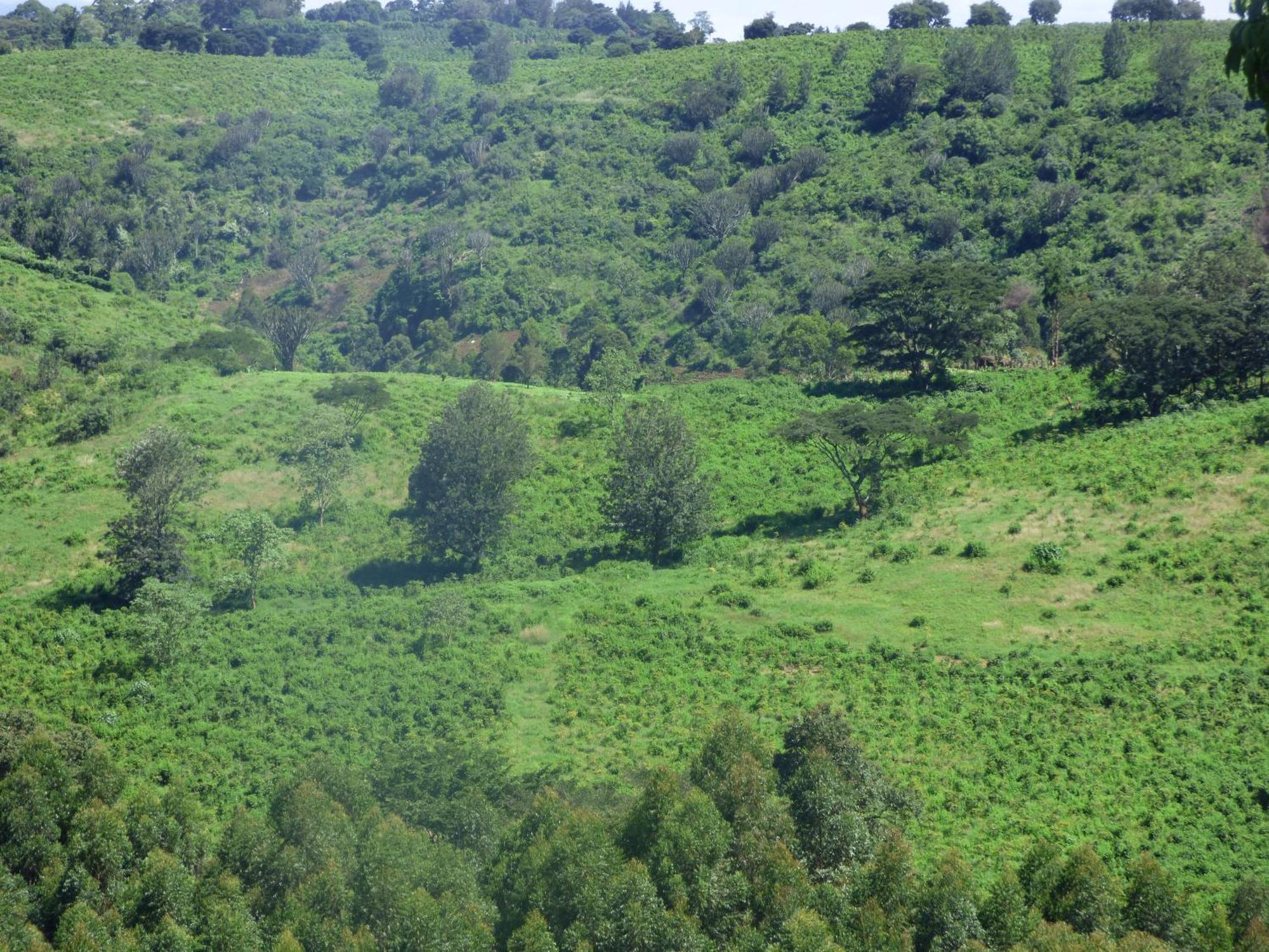 Le Pristine Wellness And Healing Hotel Nyeri Extérieur photo