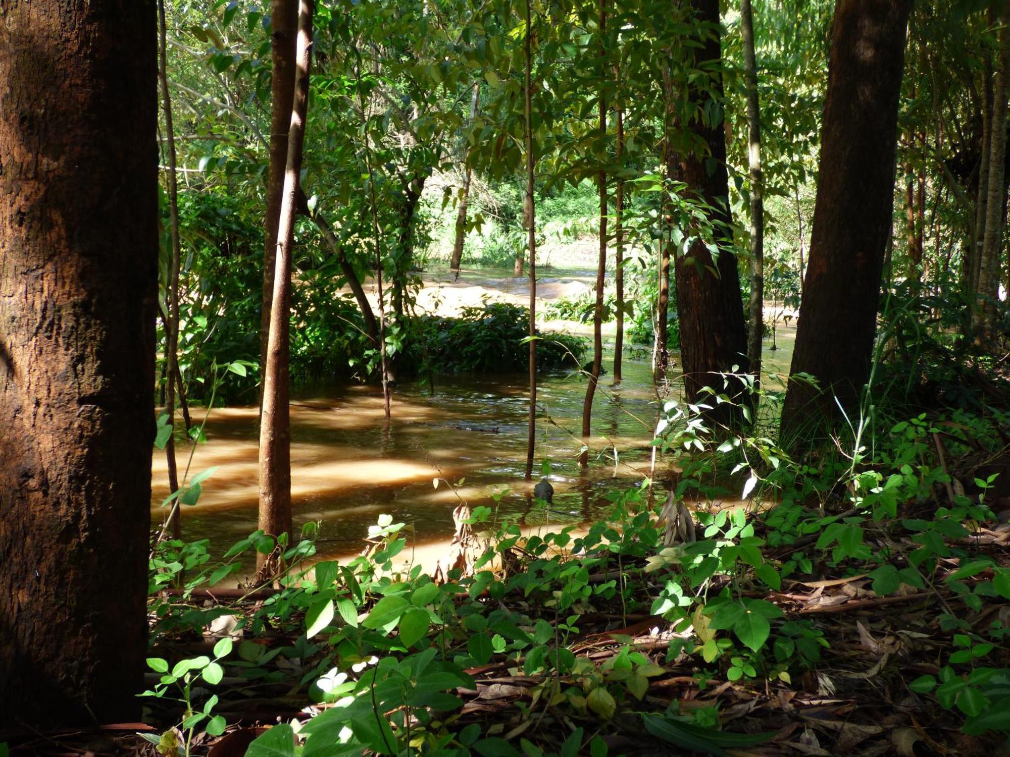 Le Pristine Wellness And Healing Hotel Nyeri Extérieur photo