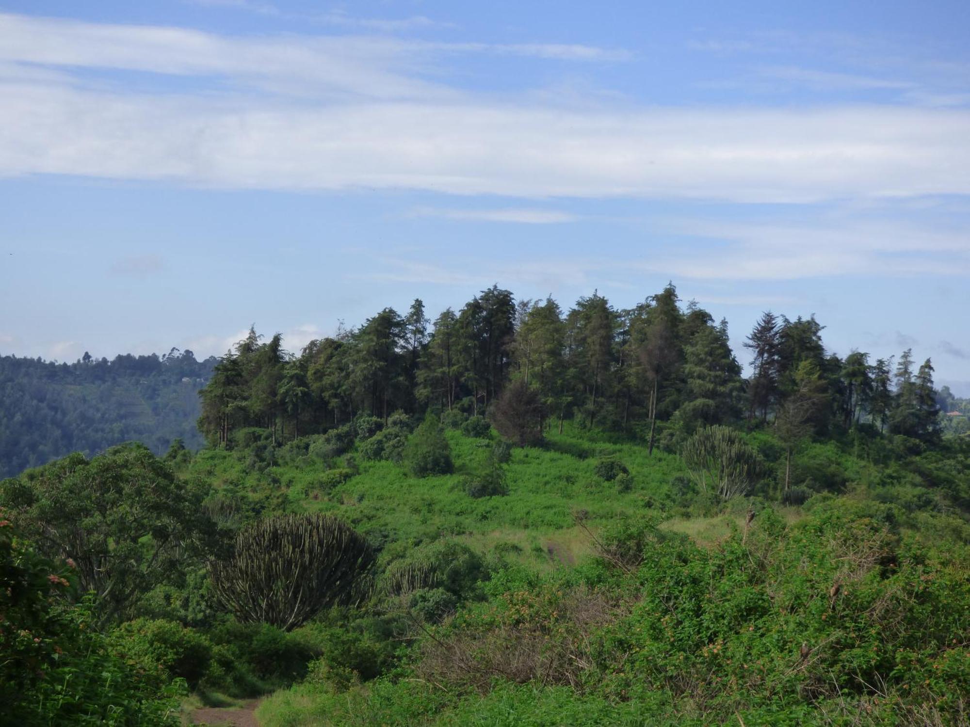 Le Pristine Wellness And Healing Hotel Nyeri Extérieur photo