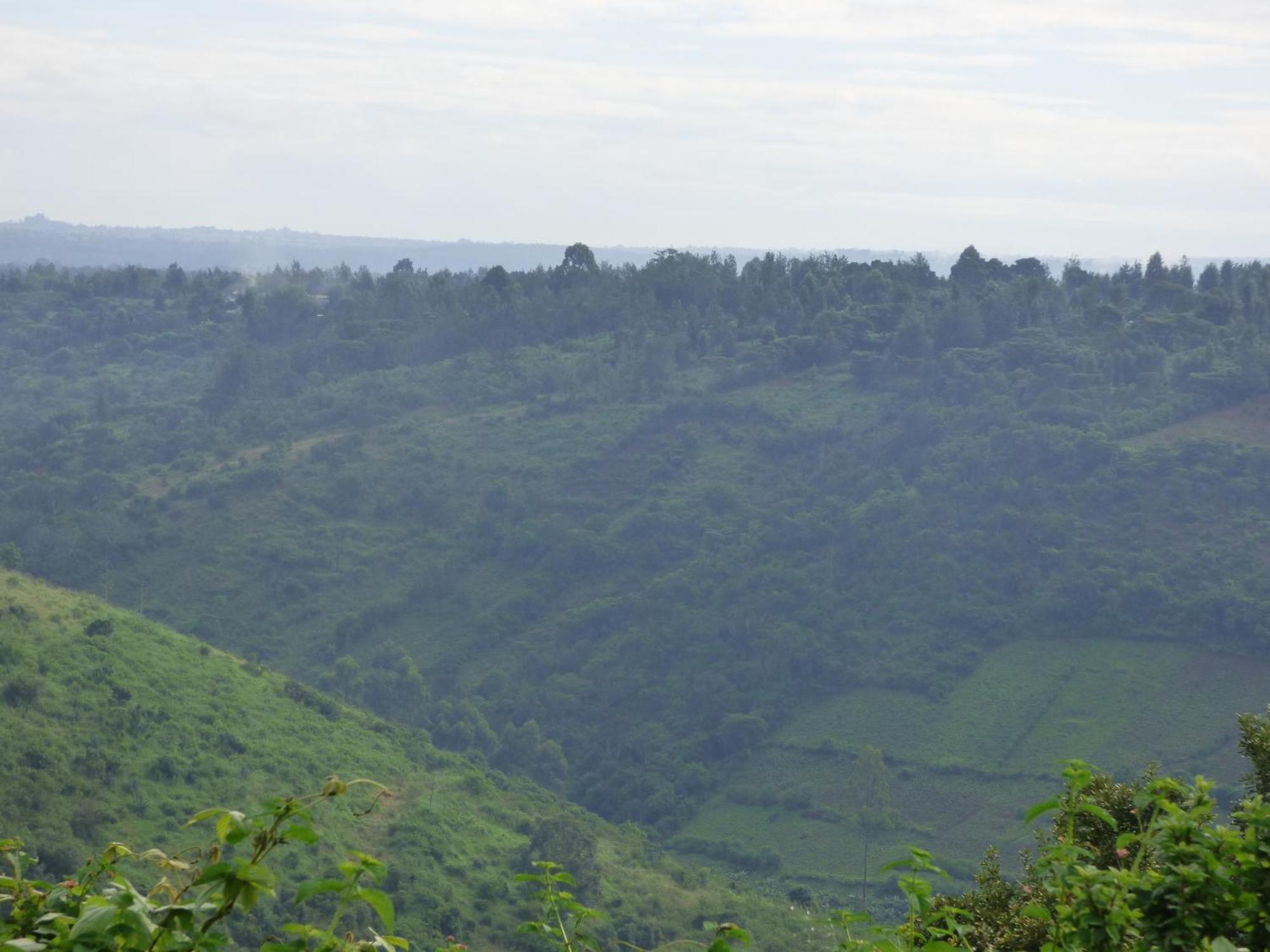 Le Pristine Wellness And Healing Hotel Nyeri Extérieur photo