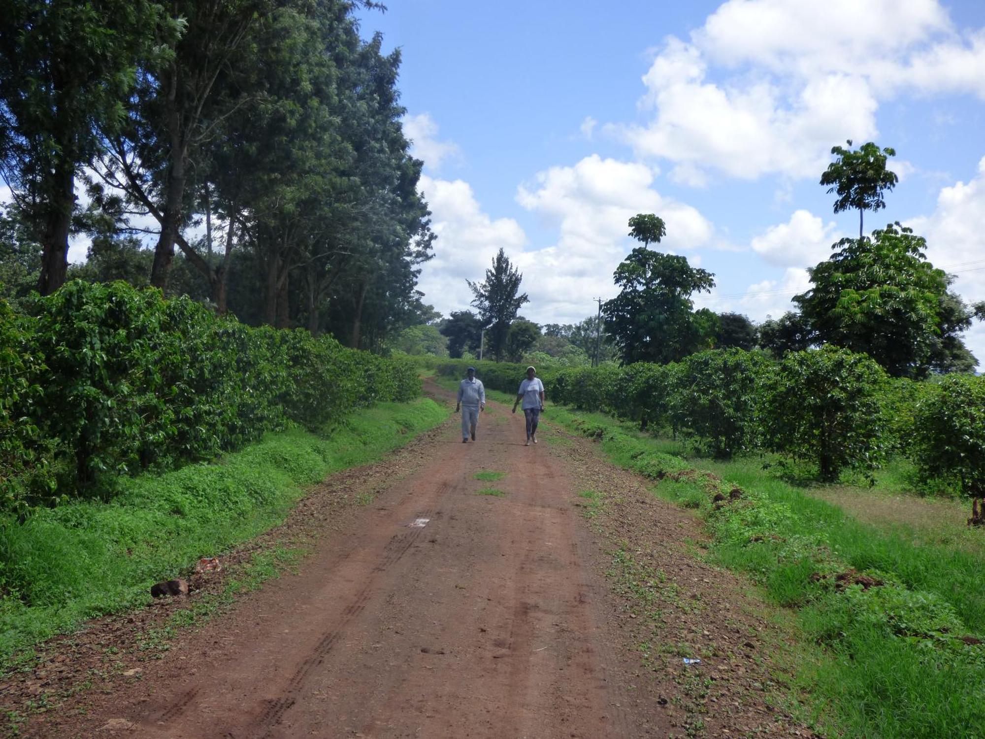 Le Pristine Wellness And Healing Hotel Nyeri Extérieur photo