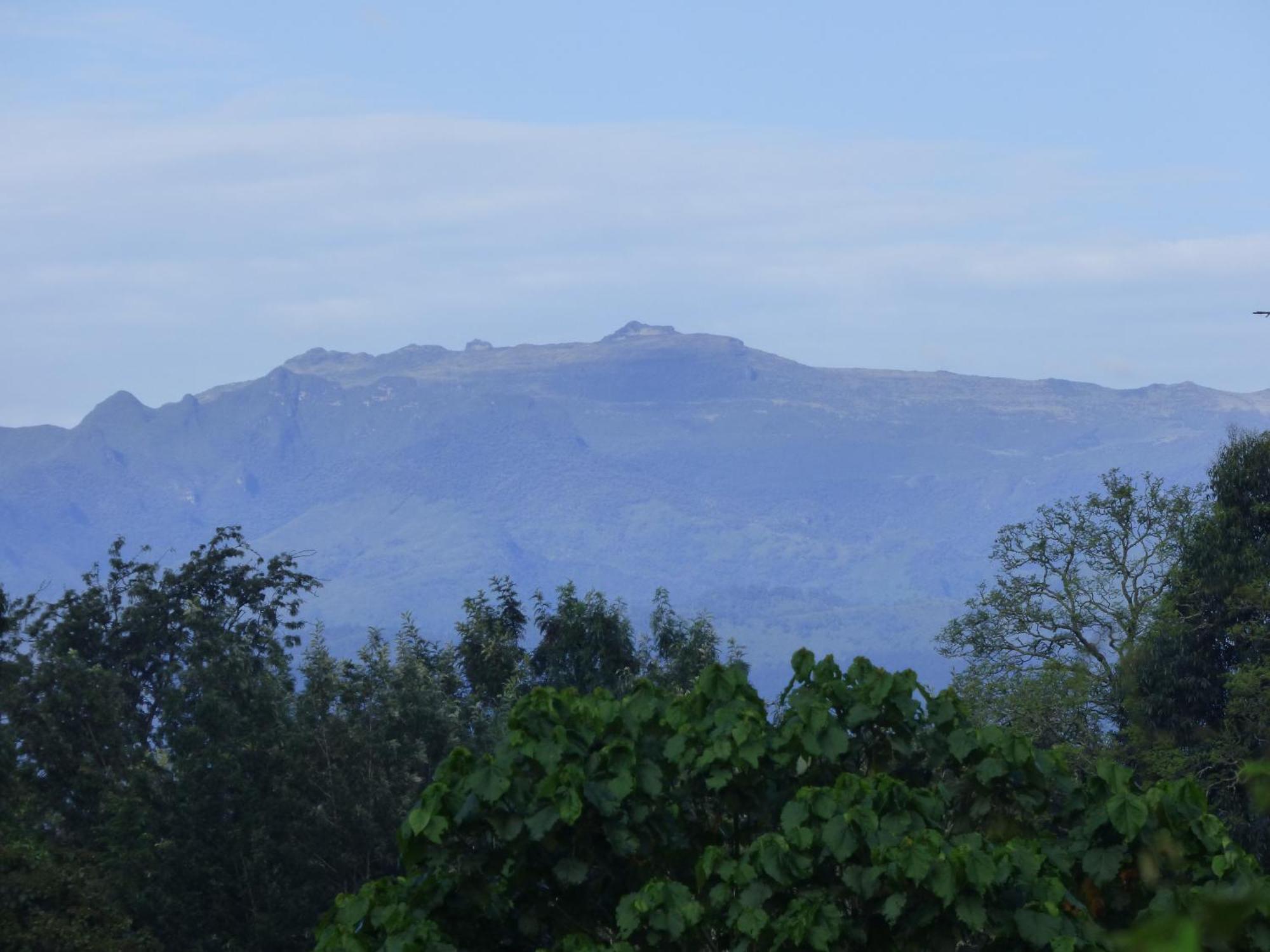 Le Pristine Wellness And Healing Hotel Nyeri Extérieur photo
